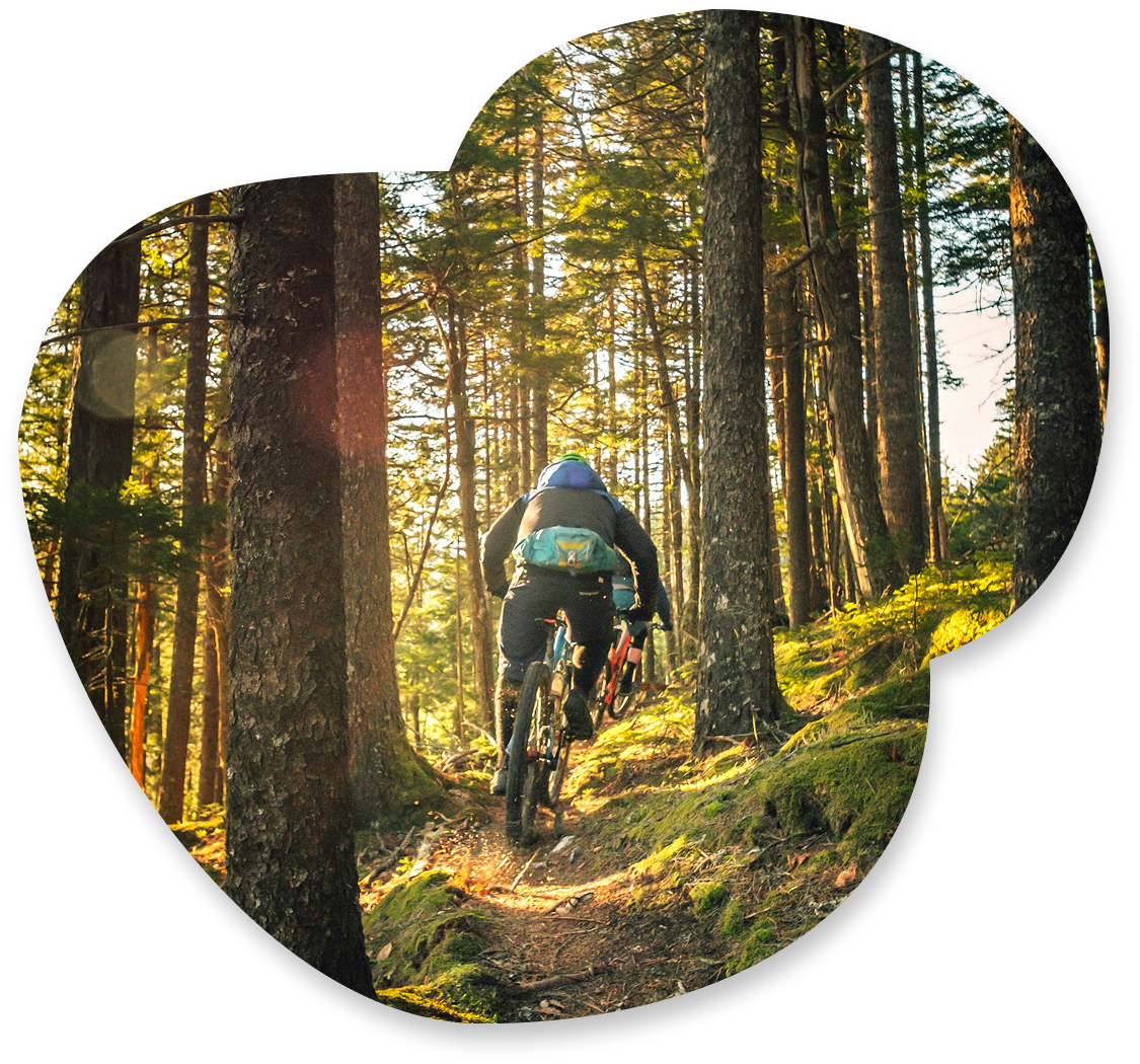 Person biking on forest trail